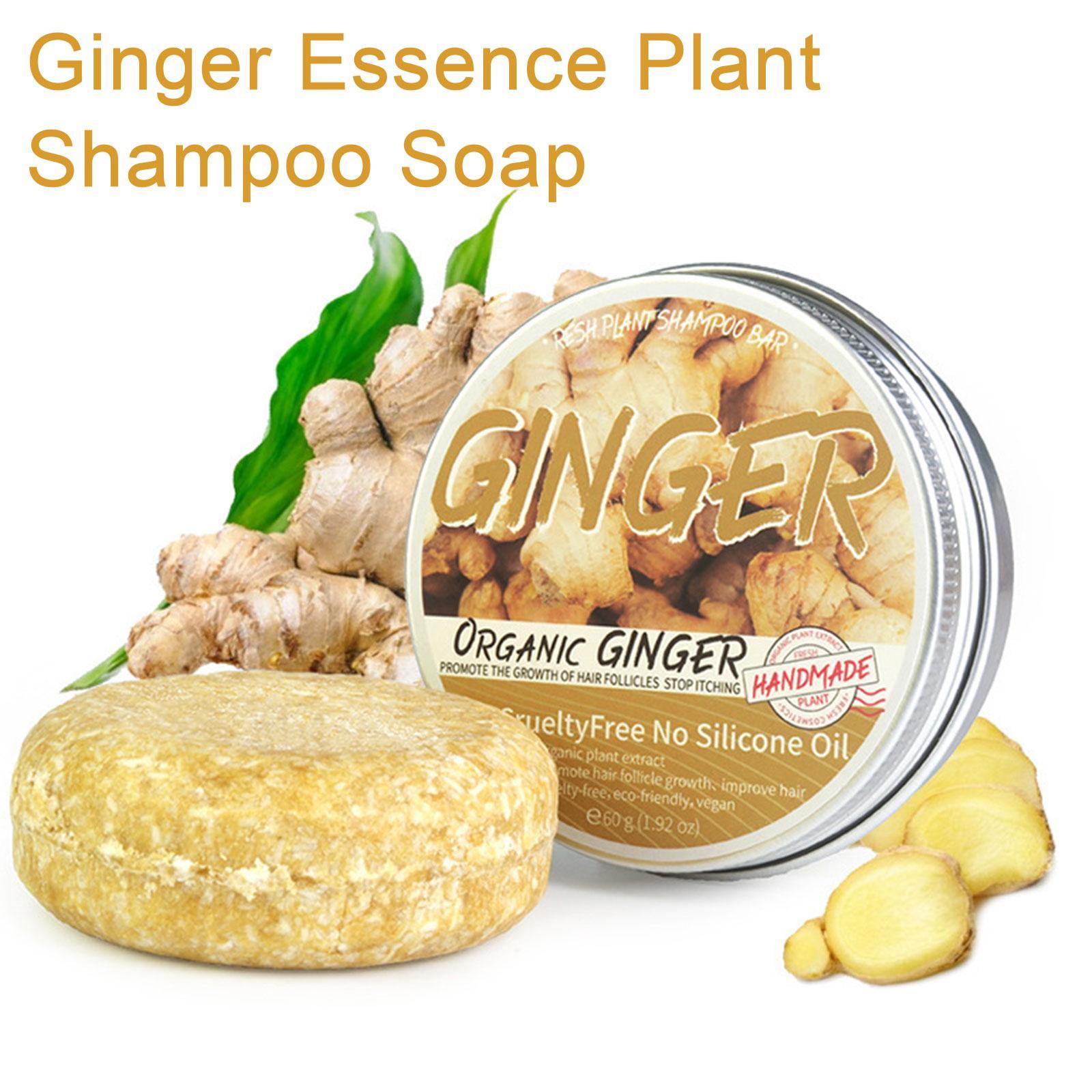 Ginger Polygonum Shampoo para  - Hair Care Pantene avaliação e preço